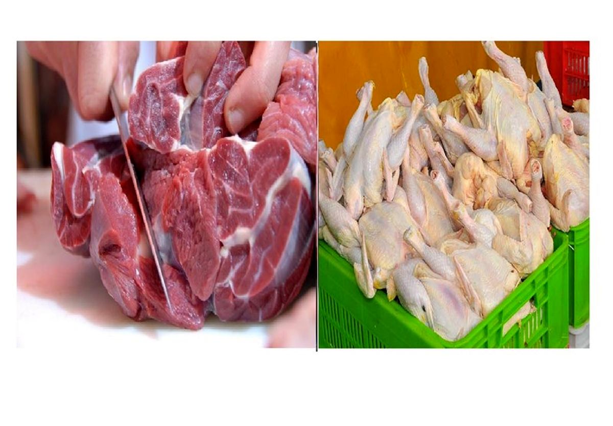 وارد کنندگان مرغ و گوشت کشور چه کسانی هستند؟