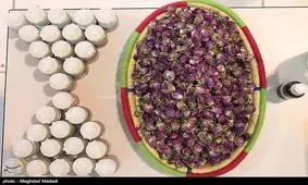 داروی گیاهی باید از داروخانه تهیه شود / گیاهان دارویی نیز عوارض دارد