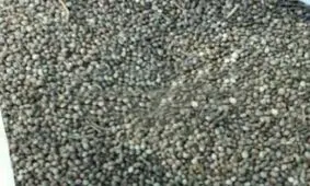 کشف 5 کیلو گرم بذر ماده مخدر گل از سپر کامیون