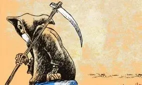 متلک جدید به رئیسی، قالیباف و عباس جدیدی