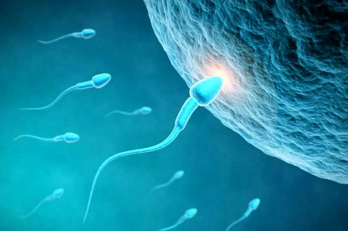 بیماری هایی که فکرش را نمی کردید از طریق رابطه جنسی منتقل شوند