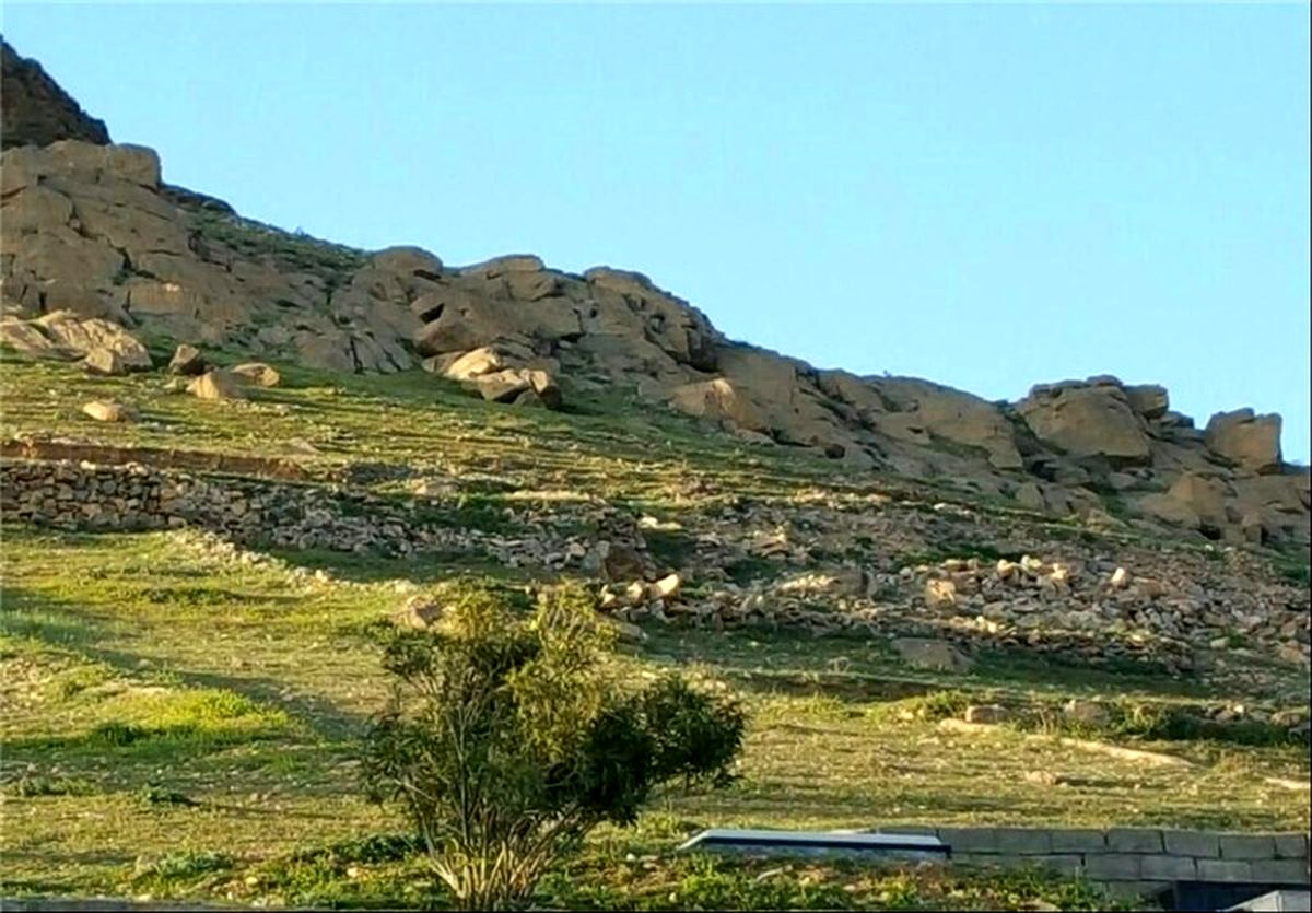 زمینخواری ۱۰ میلیارد ریالی در مازندران کشف شد