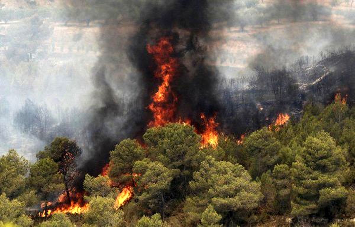 جنگل های آمل همچنان در آتش می سوزد / پرواز بالگرد برای اطفای حریق