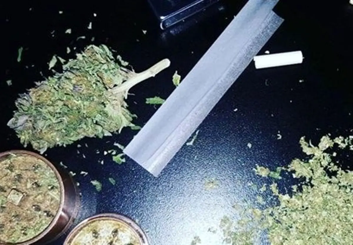 پیش‌بینی پلیس از افزایش فعالیت باندهای موادمخدر در فضای مجازی