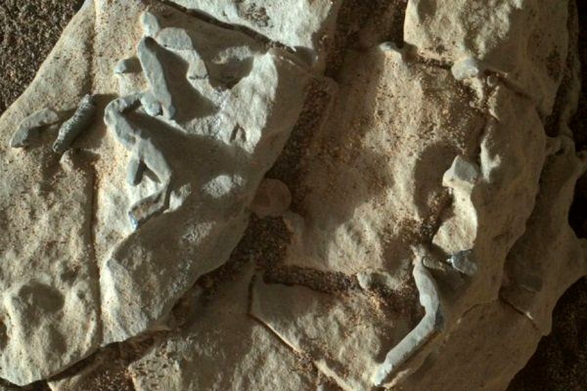 احتمال وجود حیات در مریخ، با کشفیات تازه