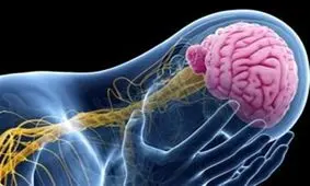 کنترل صرع با دارو در ۶۰ درصد مبتلایان