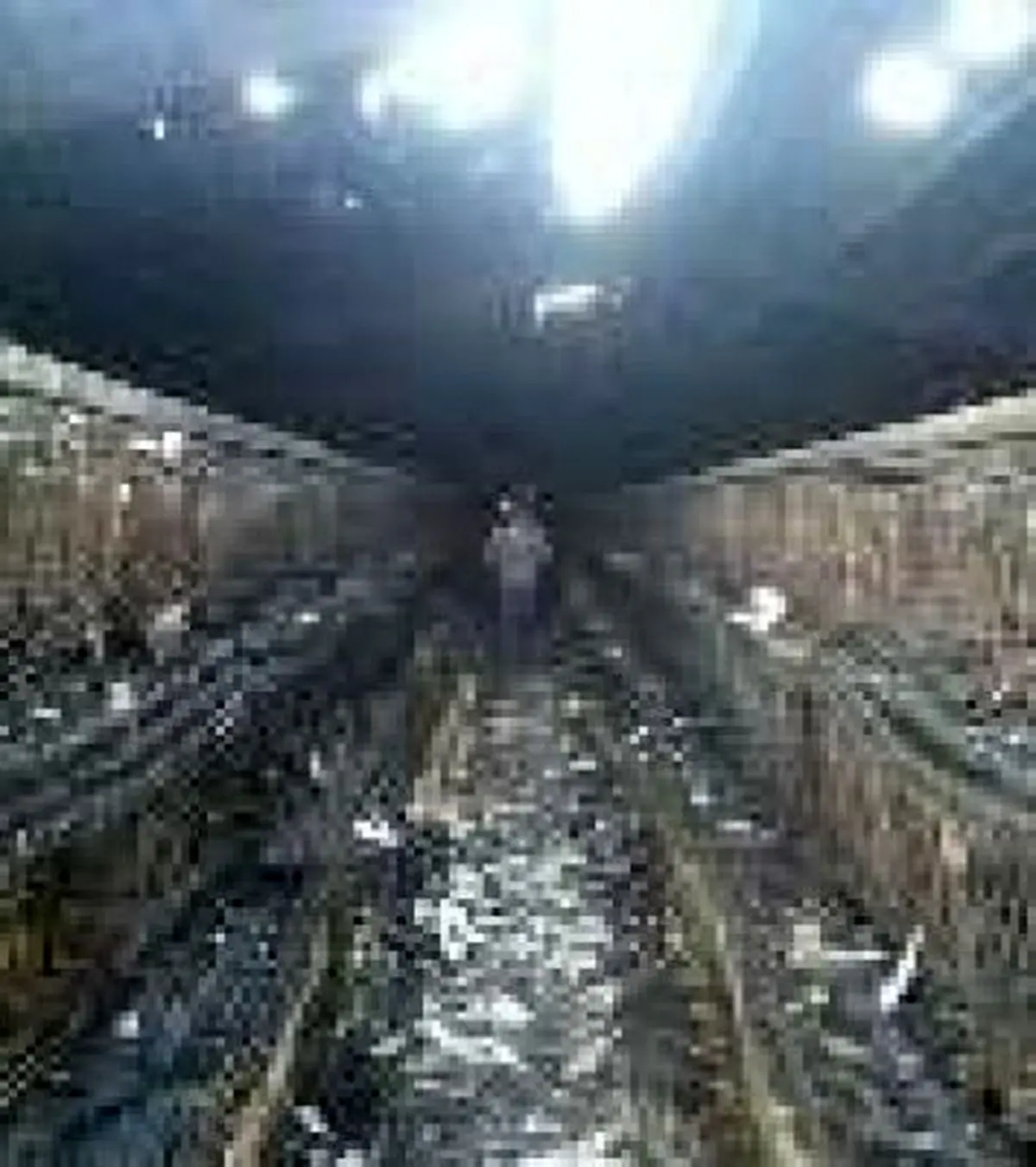 از بین رفتن 25 هزار قطعه مرغ تخم گذار در آتش سوزی یک مرغداری در خمین