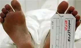 قرص برنج جان ۹۲ تهرانی را گرفت/۳ دلیل اصلی مسمومیت با سلفوس