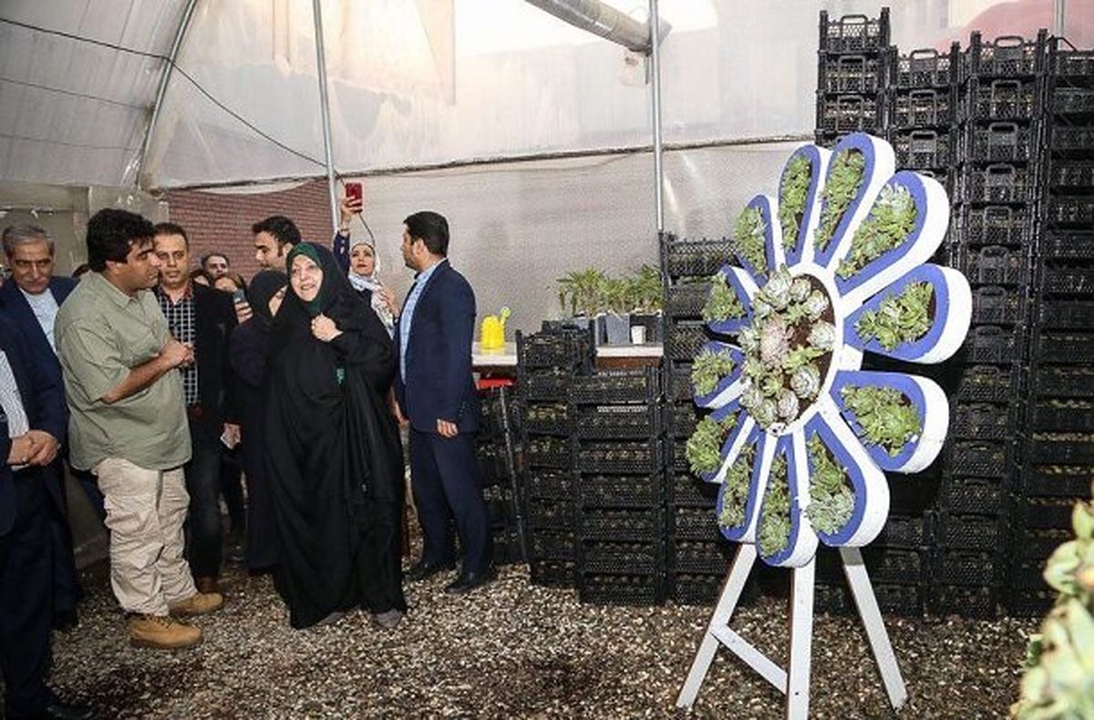 پدیده «نوزاد کارتنخواب» نتیجه بیتوجهی به زنان کارتنخواب