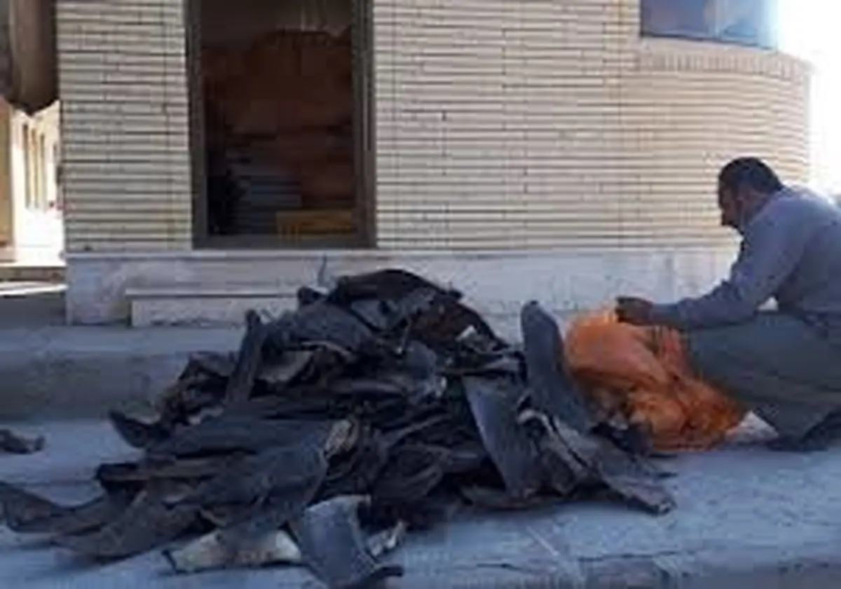 کشف محموله غیرمجاز اجزای بدن کوسه ماهیان در چابهار