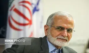 کمال خرازی: حق مردم هر کشور است که در جهت اثبات مسائل سیاسی گام بردارند