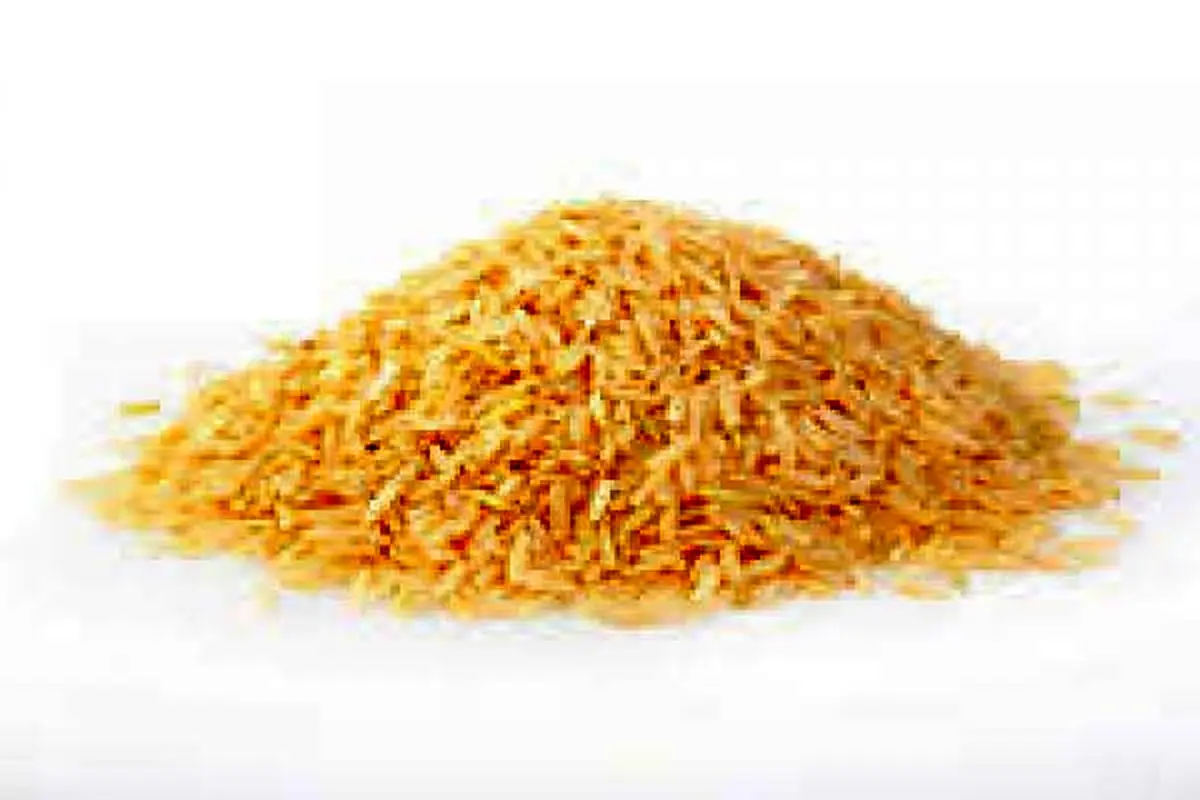 قیمت برنج افزایش یافت