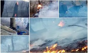 آتش‌سوزی در جنگل‌های رضوانشهر مهار شد +عکس