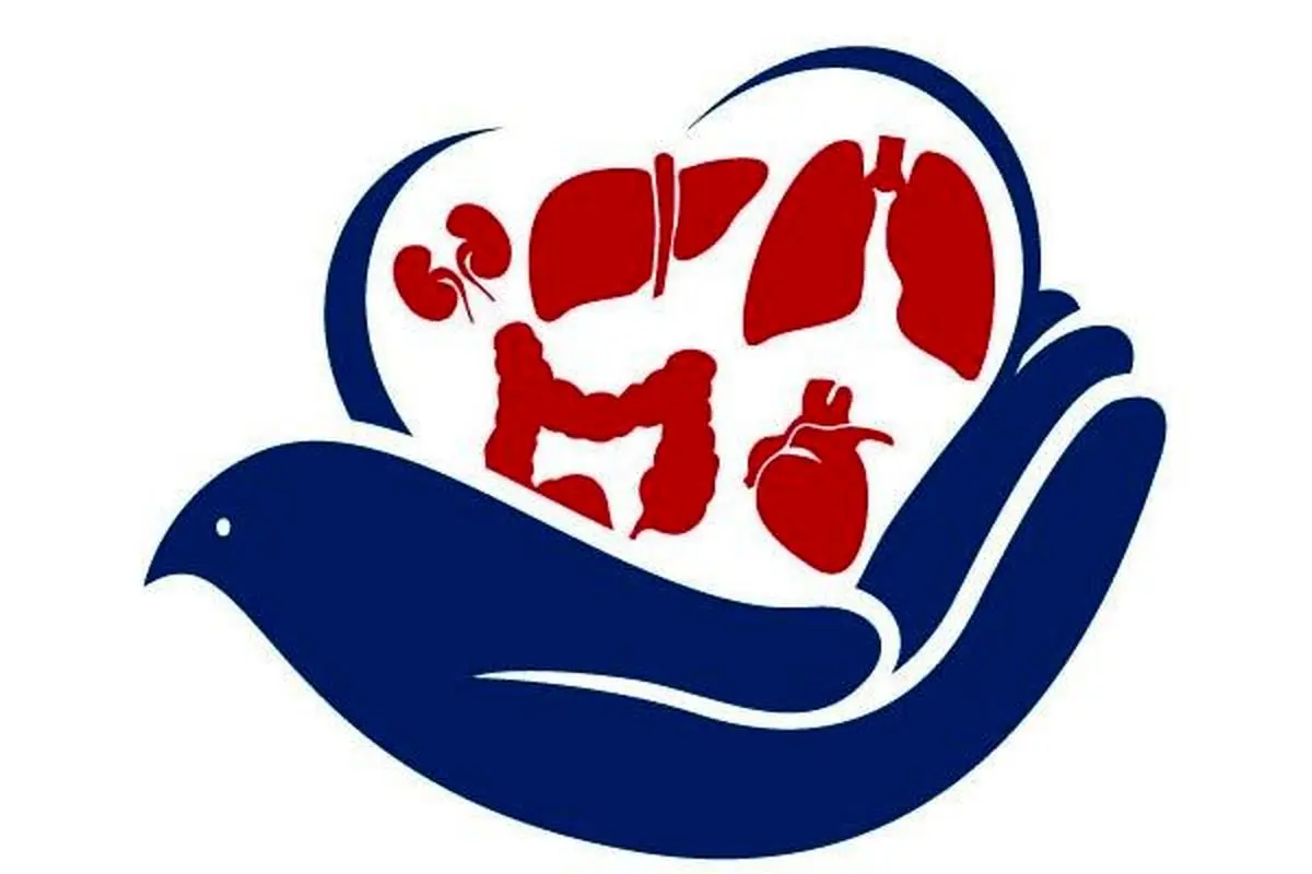 نجات جان سه بیمار با اهداء عضو یک گیلانی دچار مرگ مغزی