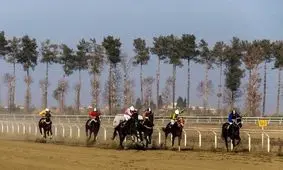 درگیری مسلحانه در مجموعه سوارکاری