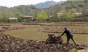 مرحله اول شخم زمستانه در 25 هزار هکتار شالیزار گیلان انجام شد