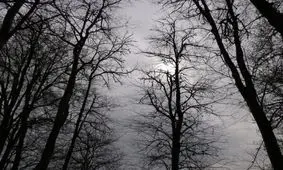 کاهش بارش های زمستانی امسال