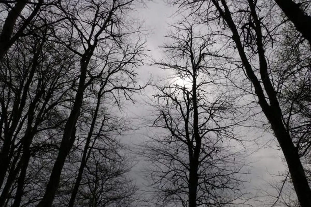 کاهش بارش های زمستانی امسال