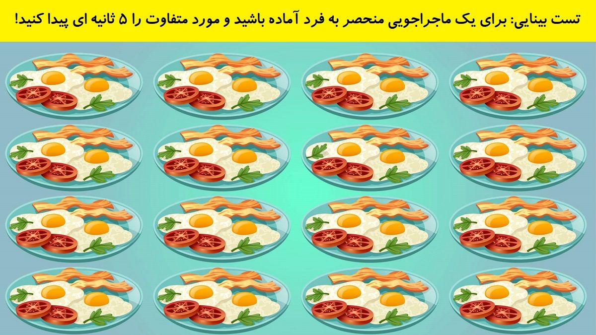 تست بینایی یافتن بشقاب متفاوت تخم مرغ