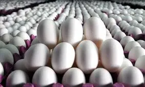 قیمت تخم مرغ بسته ۹ عددی چند؟