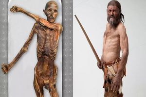 دانشمندان با آزمایش دی‌ان‌ای هویت و شکل ظاهری مرد یخی ۵۳۰۰ ساله را کشف کردند