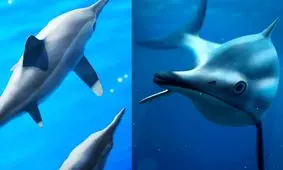 اولین بازسازی کامل دلفین‌های هم عصر دایناسورها!