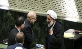 پیگیری «غیرقانونی» جبهه پایداری برای قانونی شدن «صیانت» 