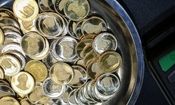 کشتی‌آرای: حباب سکه ۷ میلیون تومان است