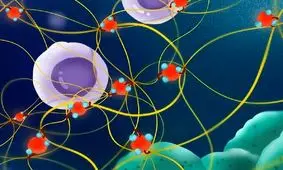 تاثیر آلودگی هوا بر تغییر بافت ریه