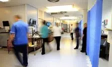 نبود مترجم باعث مرگ ۴۸ کودک شد! 