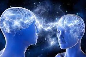 آیا تفاوتی بین مغز مرد و زن وجود دارد؟