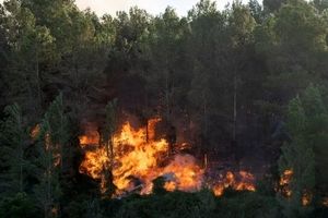 آتش‌سوزی‌های جنگلی در شرق اسپانیا و هشدار تخلیه برای صدها نفر

