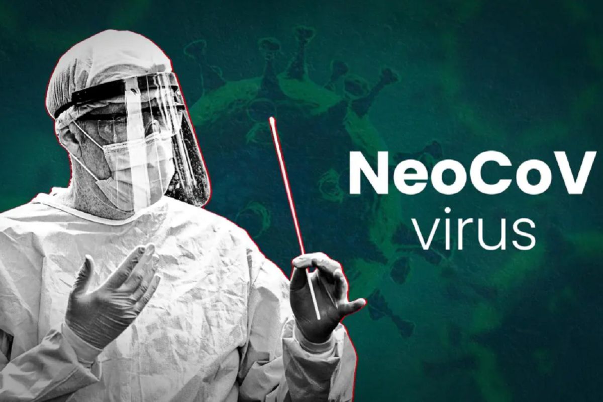 ویروس نئوکوو جهان را تهدید می‌کند و همه گیر می شود؟