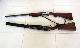کشف ۲ قبضه سلاح شکاری غیرمجاز در شمال تهران
