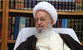 واکنش آیت الله مکارم به موضع جنجالی یک مسئول درباره رقص زن و مرد