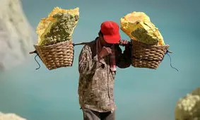 بعد از دیدن این مشاغل، احساس می‌کنید در بهشت هستید!