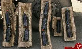 کشف 20 کیلوگرم تریاک از تنه درخت + عکس