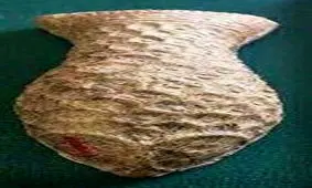 کشف ظروف سنگی عتیقه در تربت‌جام