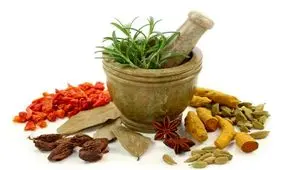 "کبد" خود را با مصرف این گیاه در برابر سموم شیمیایی محافظت کنید