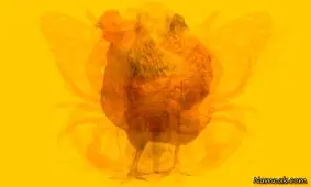 تست شخصیت شناسی، در این عکس چه حیوانی می بینید؟