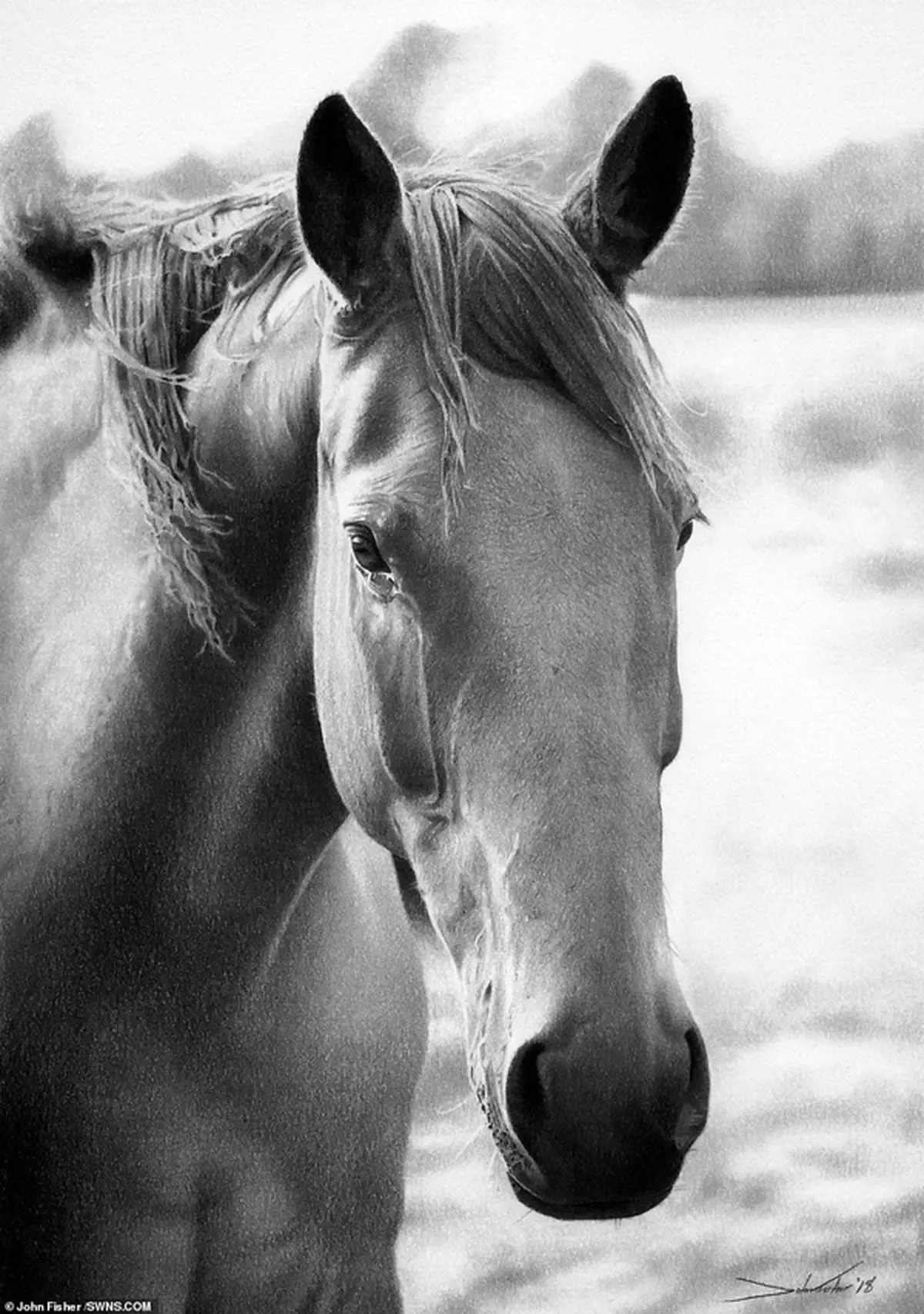 نقاشی که آثار متفاوتش به سختی قابل باورند