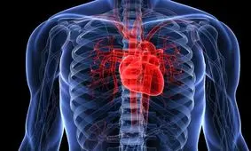 طب سنتی|گرفتگی عروق قلب را با این معجون طبیعی برطرف کنید