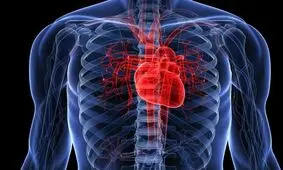 طب سنتی|گرفتگی عروق قلب را با این معجون طبیعی برطرف کنید