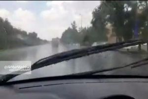 رگبار باران بلوار وکیل اباد مشهد هم اکنون