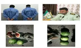 بارهندوانه مشکوک در جیرفت متوقف شد