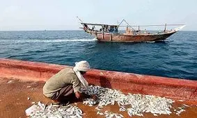 روایتی از زندگی صیادان با زبان روزه در گرمای هوای جنوب کشور + فیلم