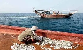 روایتی از زندگی صیادان با زبان روزه در گرمای هوای جنوب کشور + فیلم