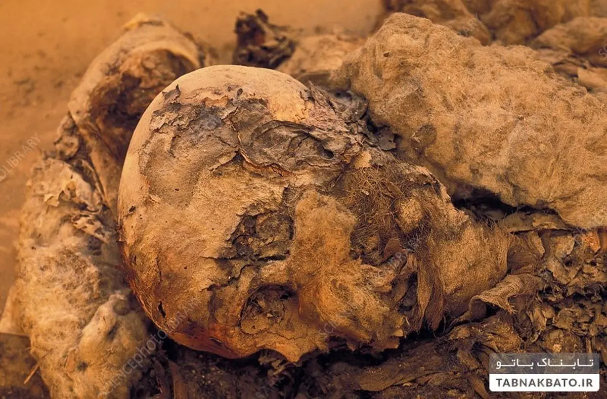 اجساد هزار ساله شیعیان «مو طلایی»