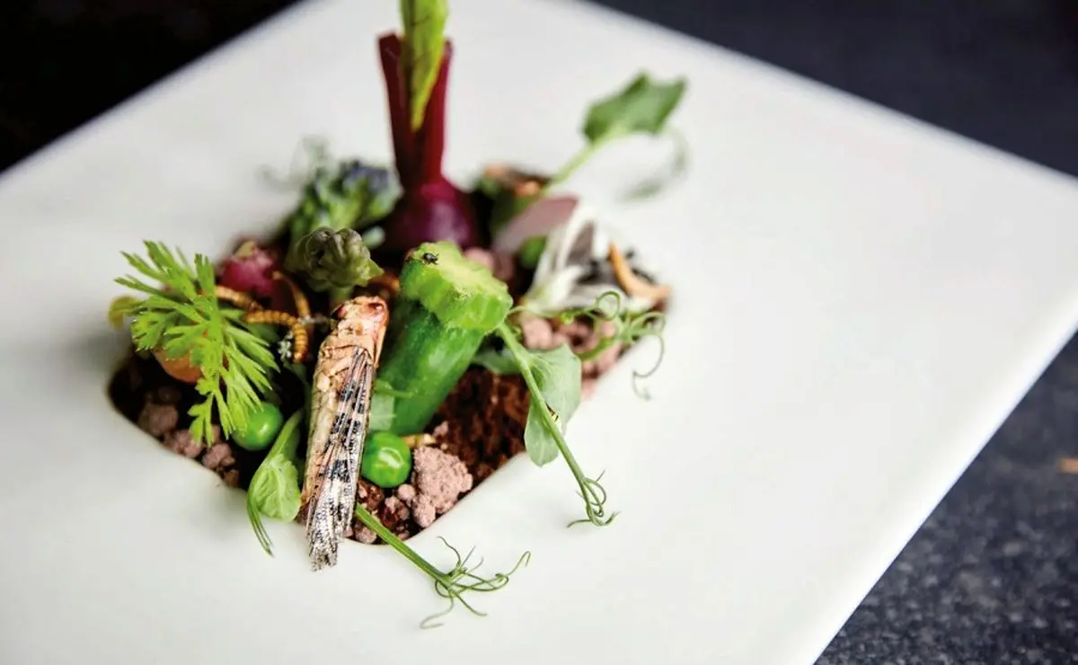 همه غذاهایی که با ملخ پخته می‌شوند!