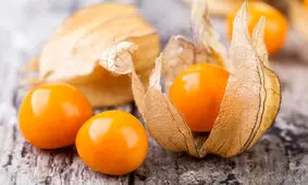 خواص میوه فیسالیس و فایده‌های مصرف آن